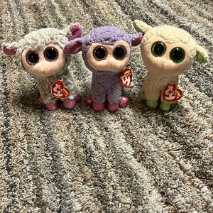 Lot of 3 Sheep Ty Beanie Boos - Dixie, Lavender, & LaLa